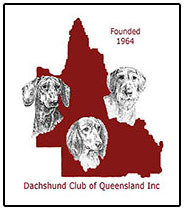 Dachshund Club of Queensland